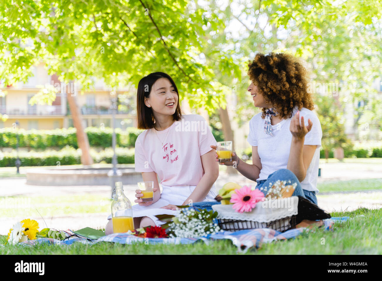 Two women having a picnic hi-res stock photography and images - Alamy