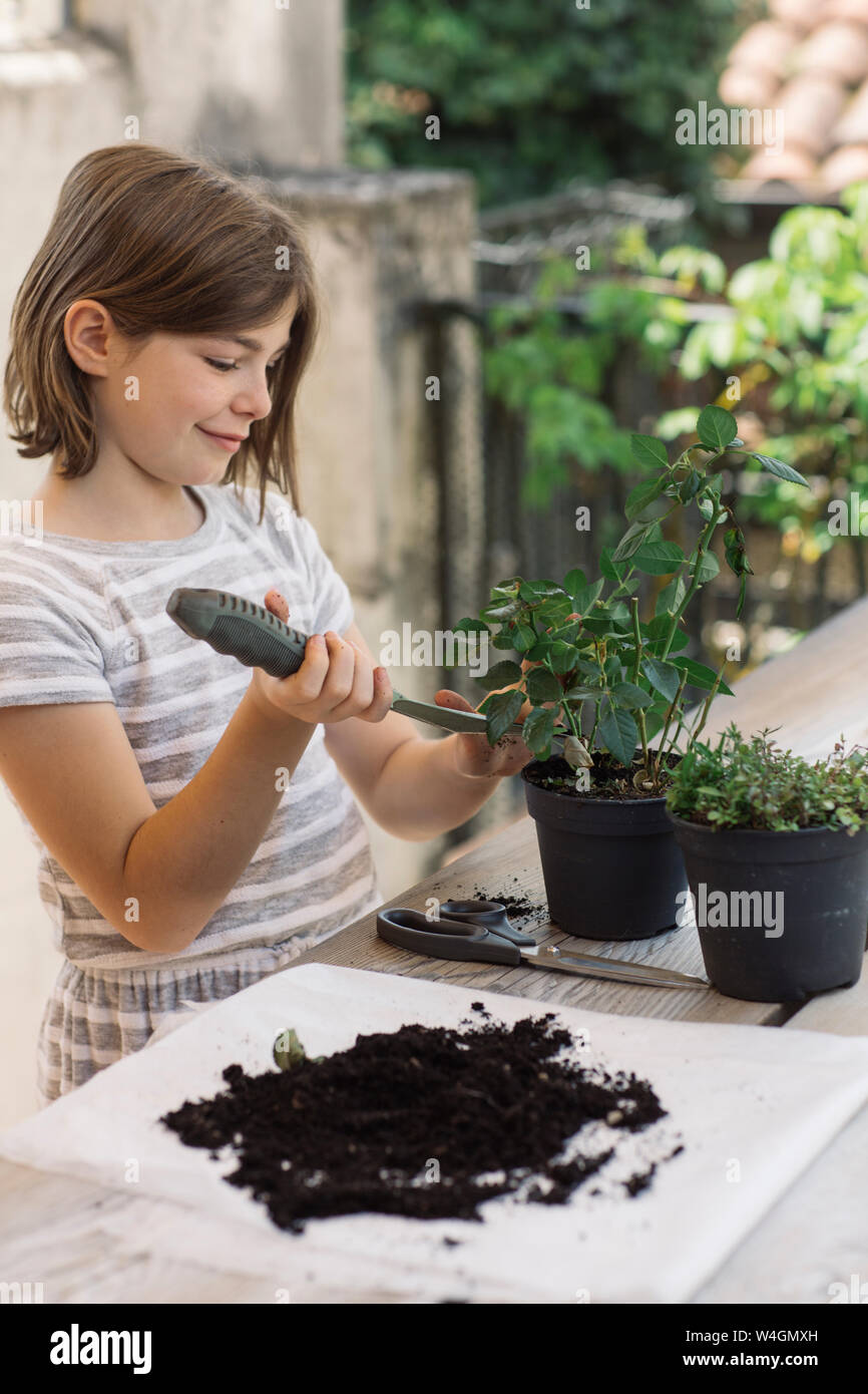 Repotting plant hi-res stock photography and images - Alamy