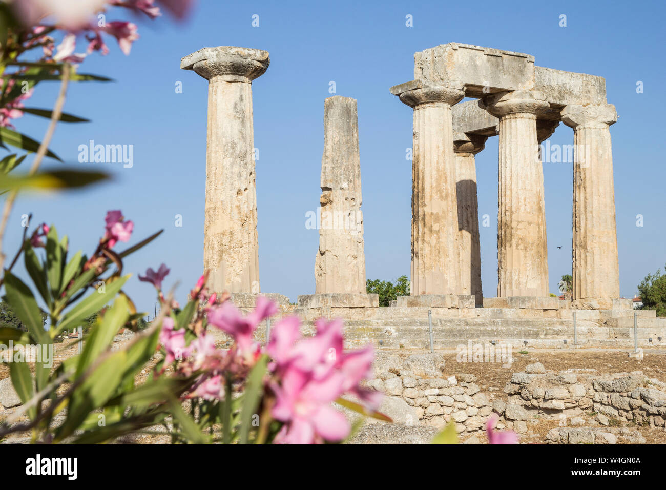 Archaic Temple of Apollo, Dorian columns, Corinth, Greece Stock Photo