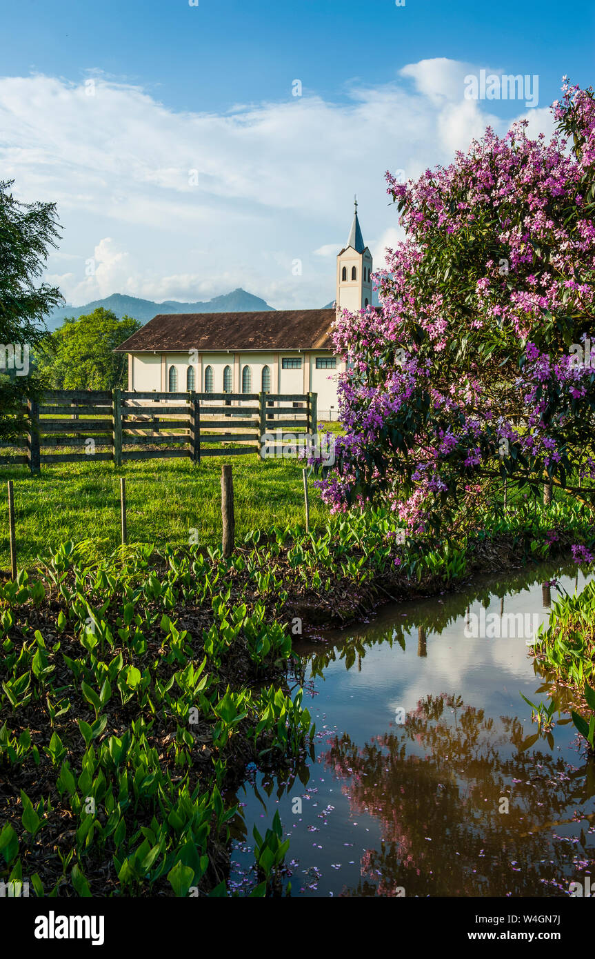 Little church behind a blossoming bush near Pomerode, Brazil Stock Photo