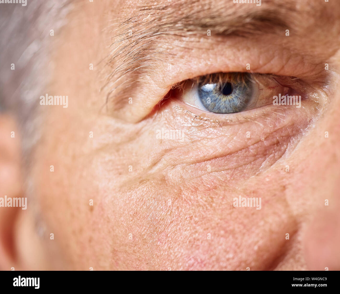 Blue eyes man hi-res stock photography and images - Alamy