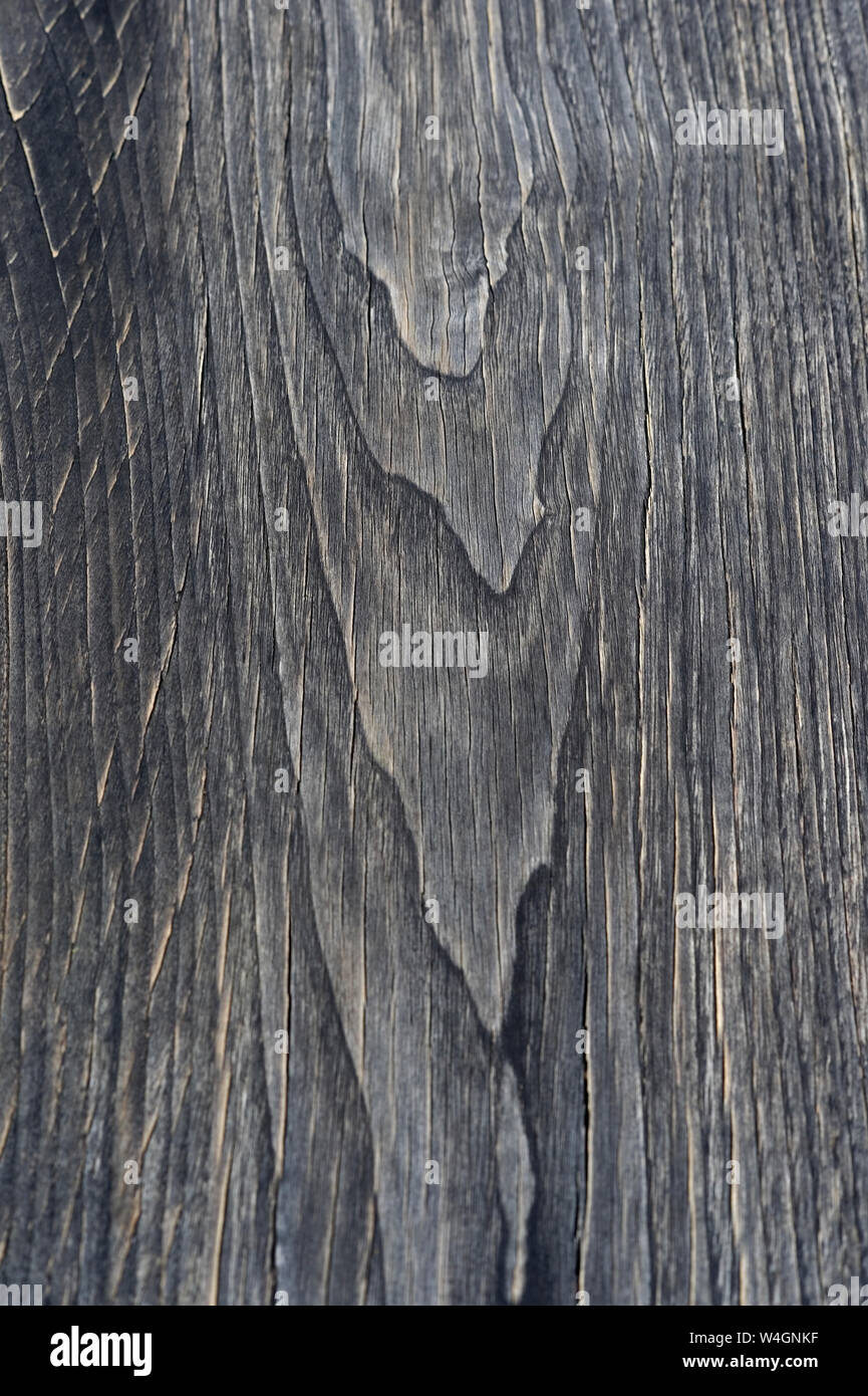 Wood surface, Teak wood, Tectona grandis, full frame Stock Photo