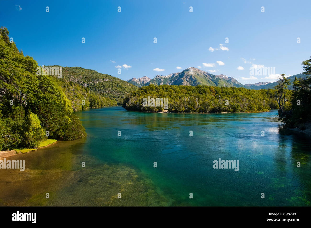 Crystal clear water in the Los Alerces National Park, Chubut, Argentina, South America Stock Photo
