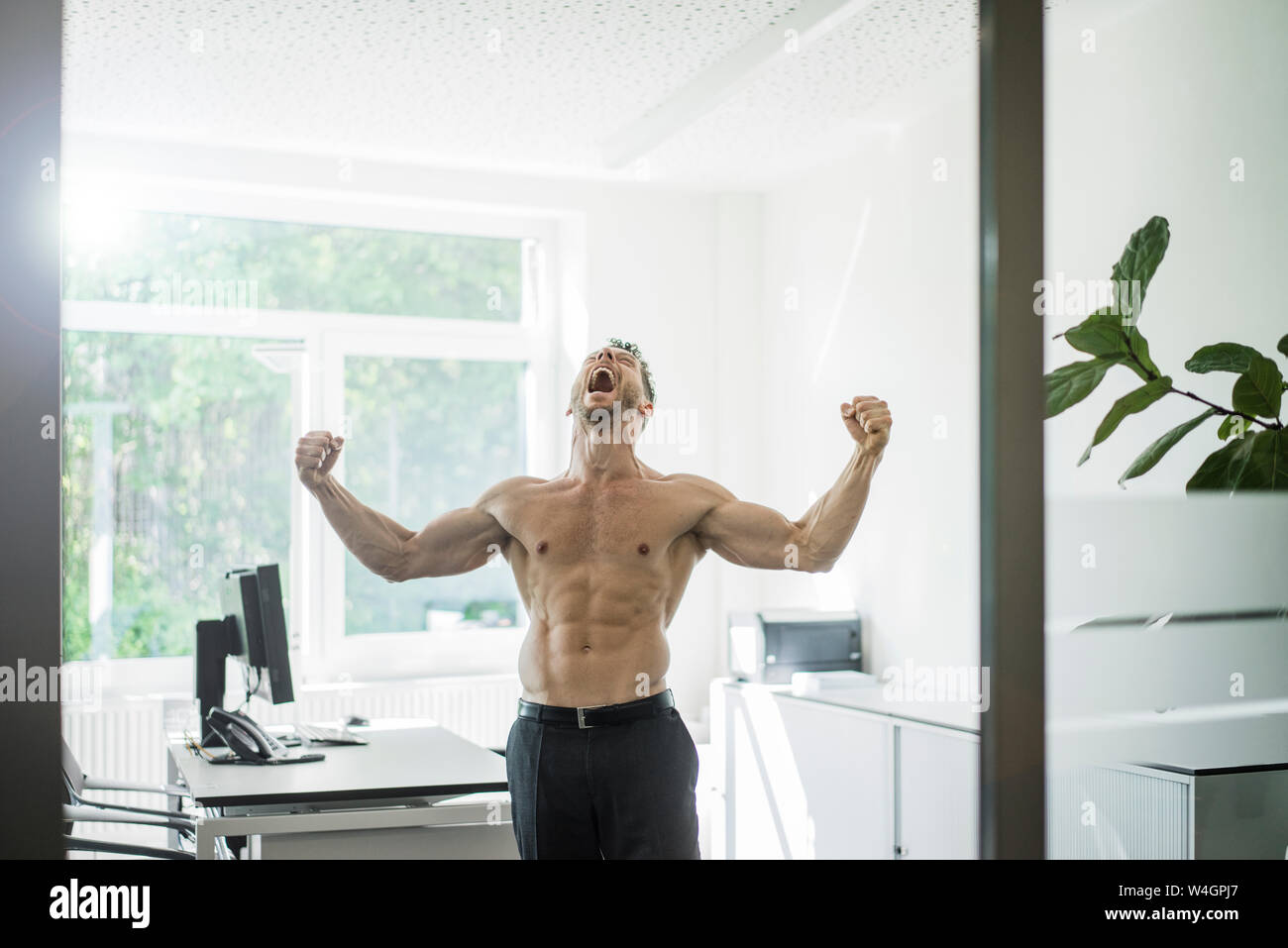 Screaming barechested businessman flexing muscles in office Stock Photo