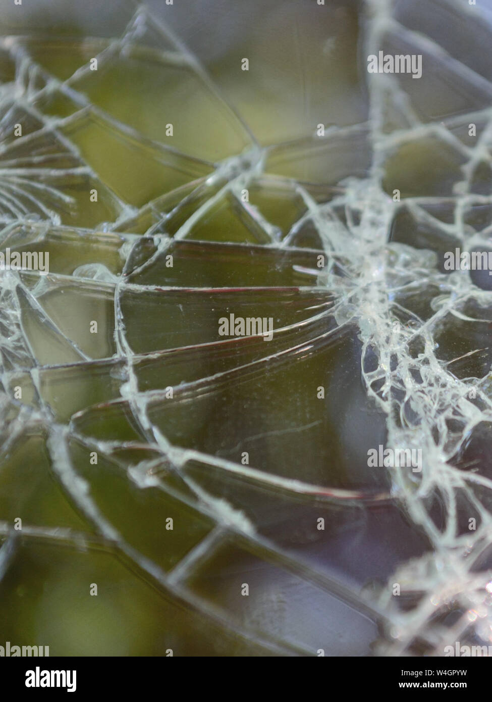 Broken smartphone screen with natural background. Cracked screen phone. Stock Photo