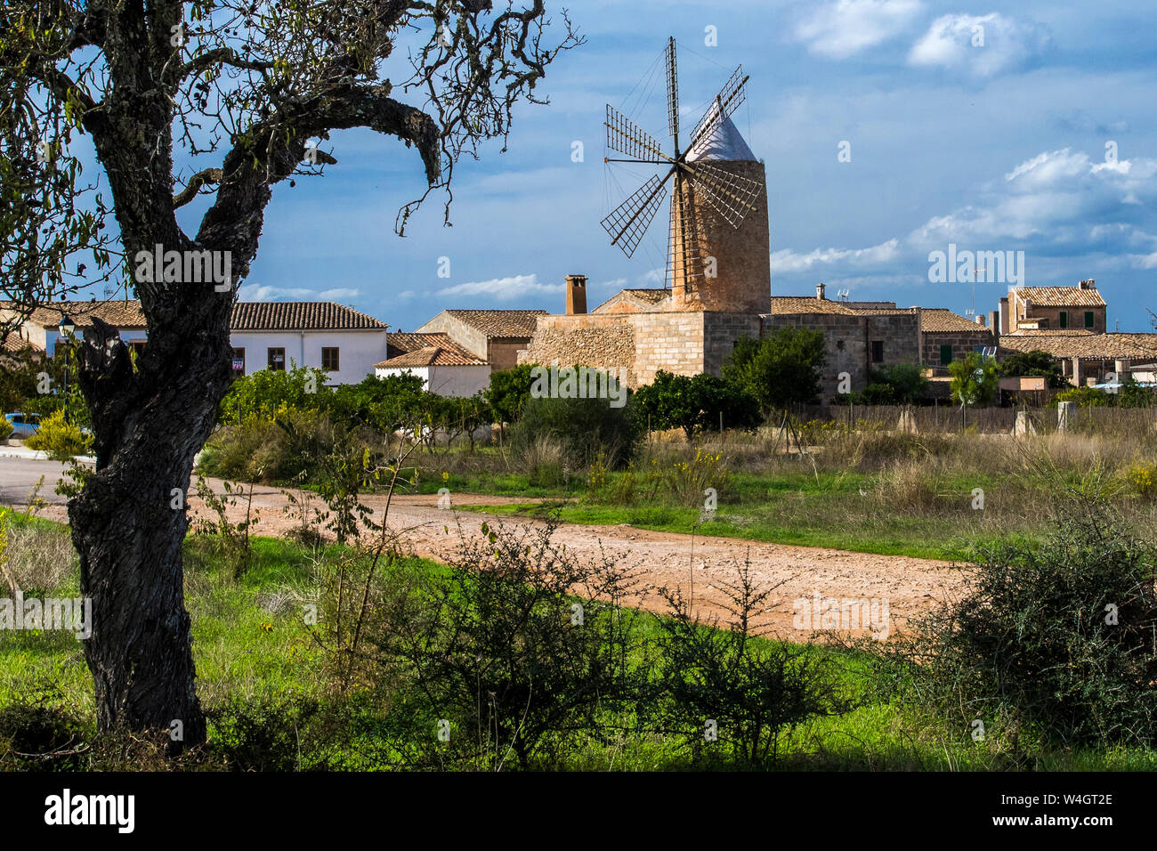 Majorca, Windmühle in Algaida, Mallorca, Spanien Stock Photo