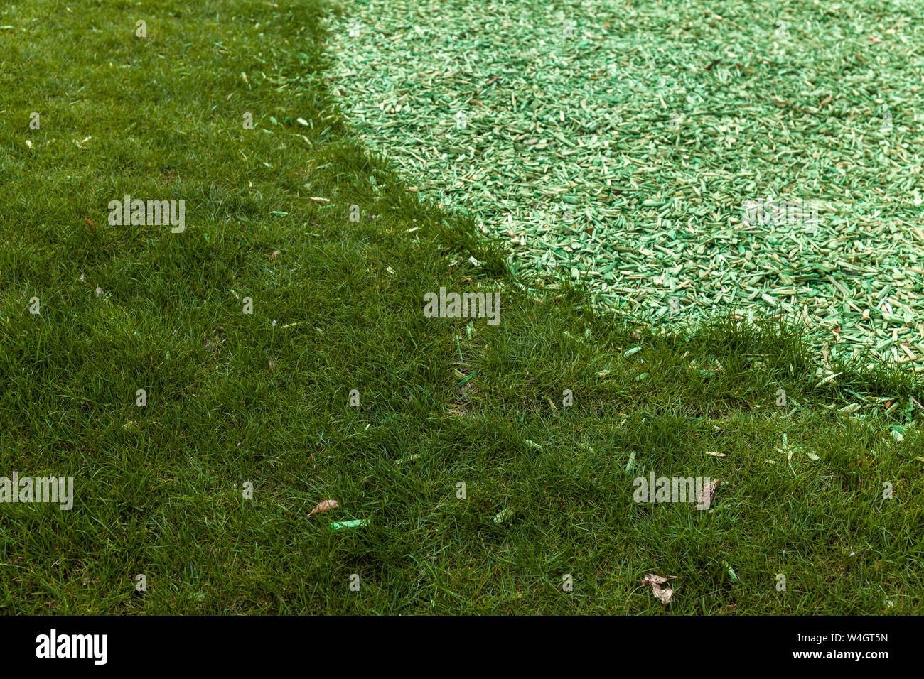 Grass and green wood shavings Stock Photo