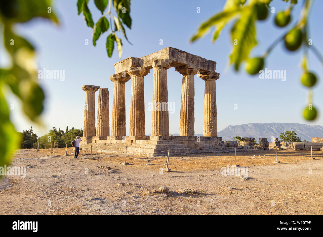 Archaic Temple of Apollo, Dorian columns, Corinth, Greece Stock Photo