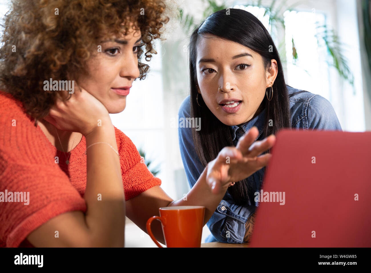 Two women with laptop talking in office Stock Photo