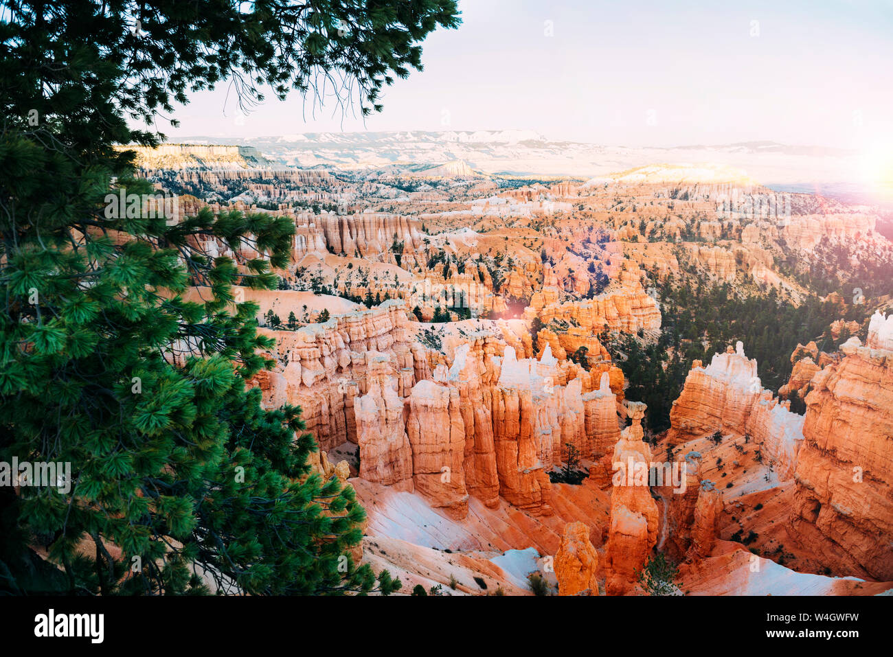 Scenic view of the pillar-like rock formations called hoodoos in Bryce Canyon at autumn, Utah, USA Stock Photo