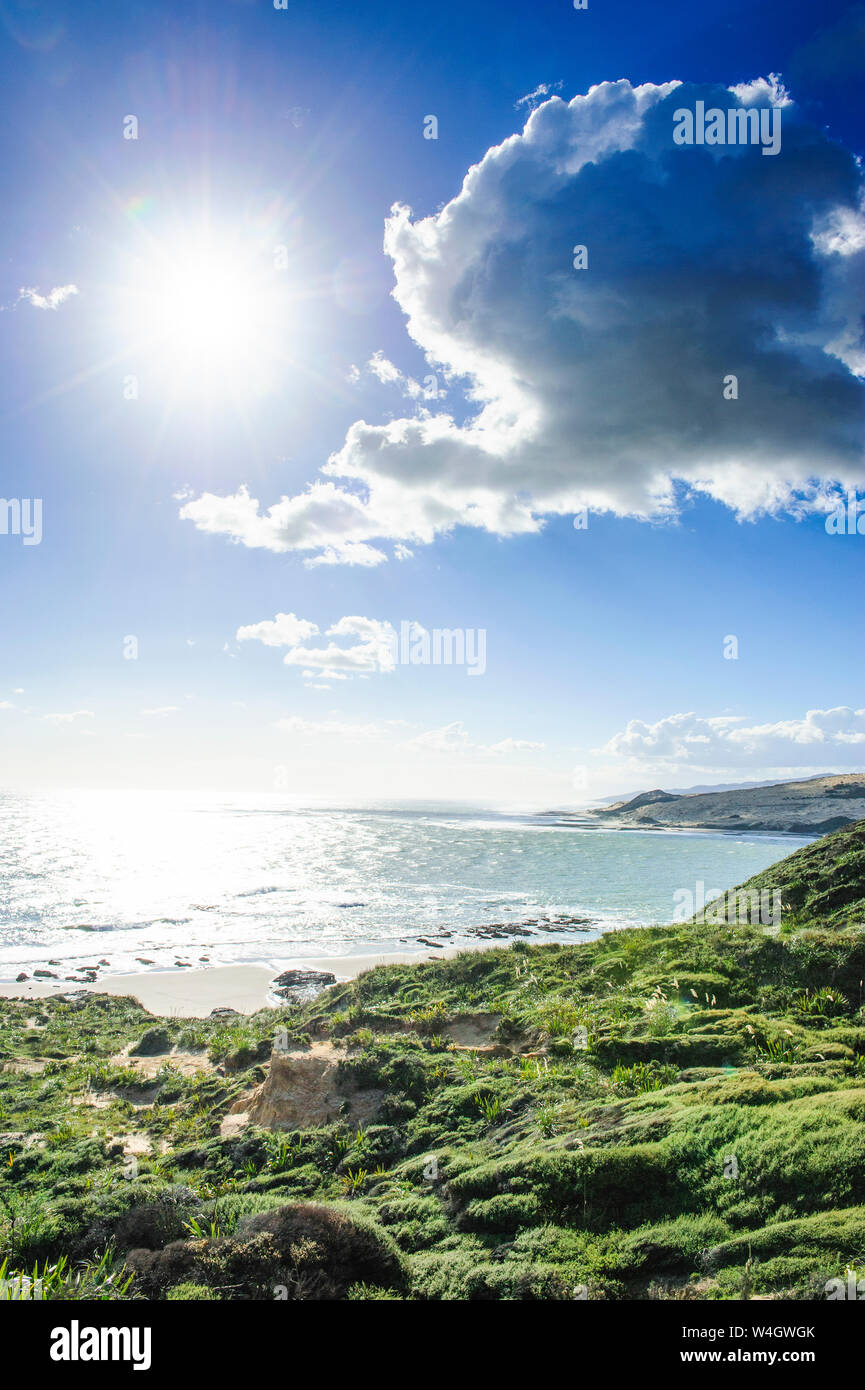 Beautiful coastline in the Arai-Te-Uru Recreation Reserve, Hokianga harbour, Westcoast Northland, North Island, New Zealand Stock Photo