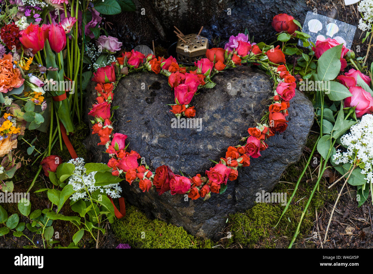 Natural tree burial Stock Photo Alamy