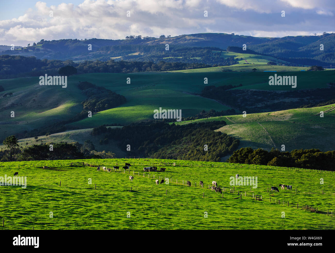 Beautiful scenery in the hinterland of Northland, North Island, New Zealand Stock Photo