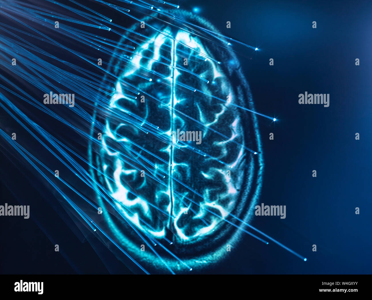 Artificial Intelligence, Fibre optics carrying data passing into brain Stock Photo