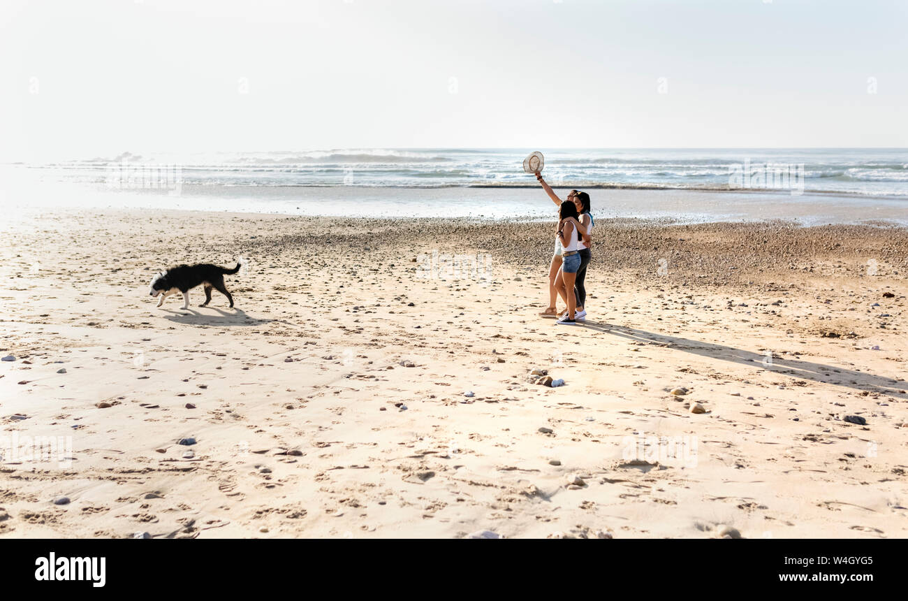 Three women with dog walking on the beach Stock Photo
