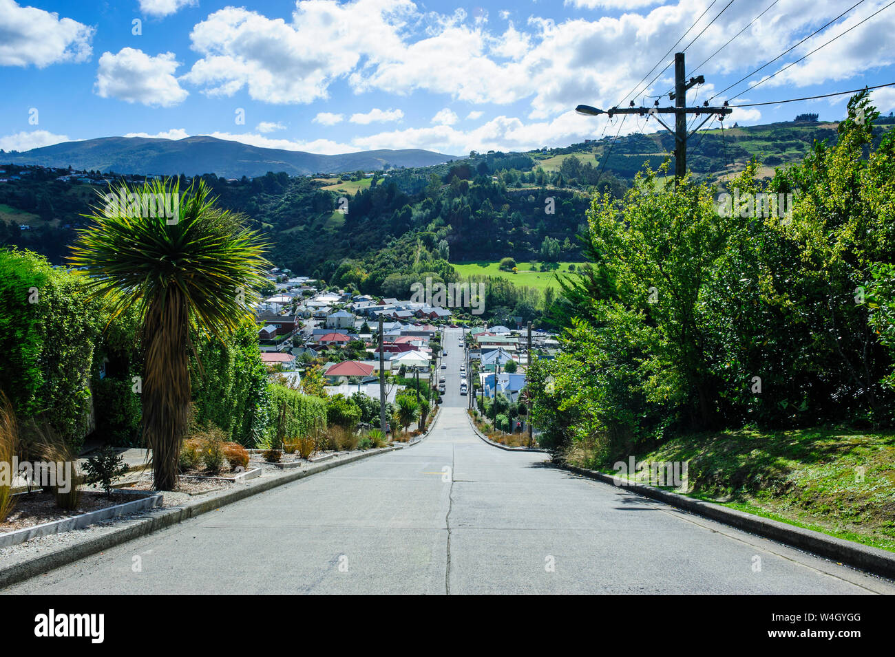 Baldwin Street, the world's steepest residential street, Dunedin, South Island, New Zealand Stock Photo