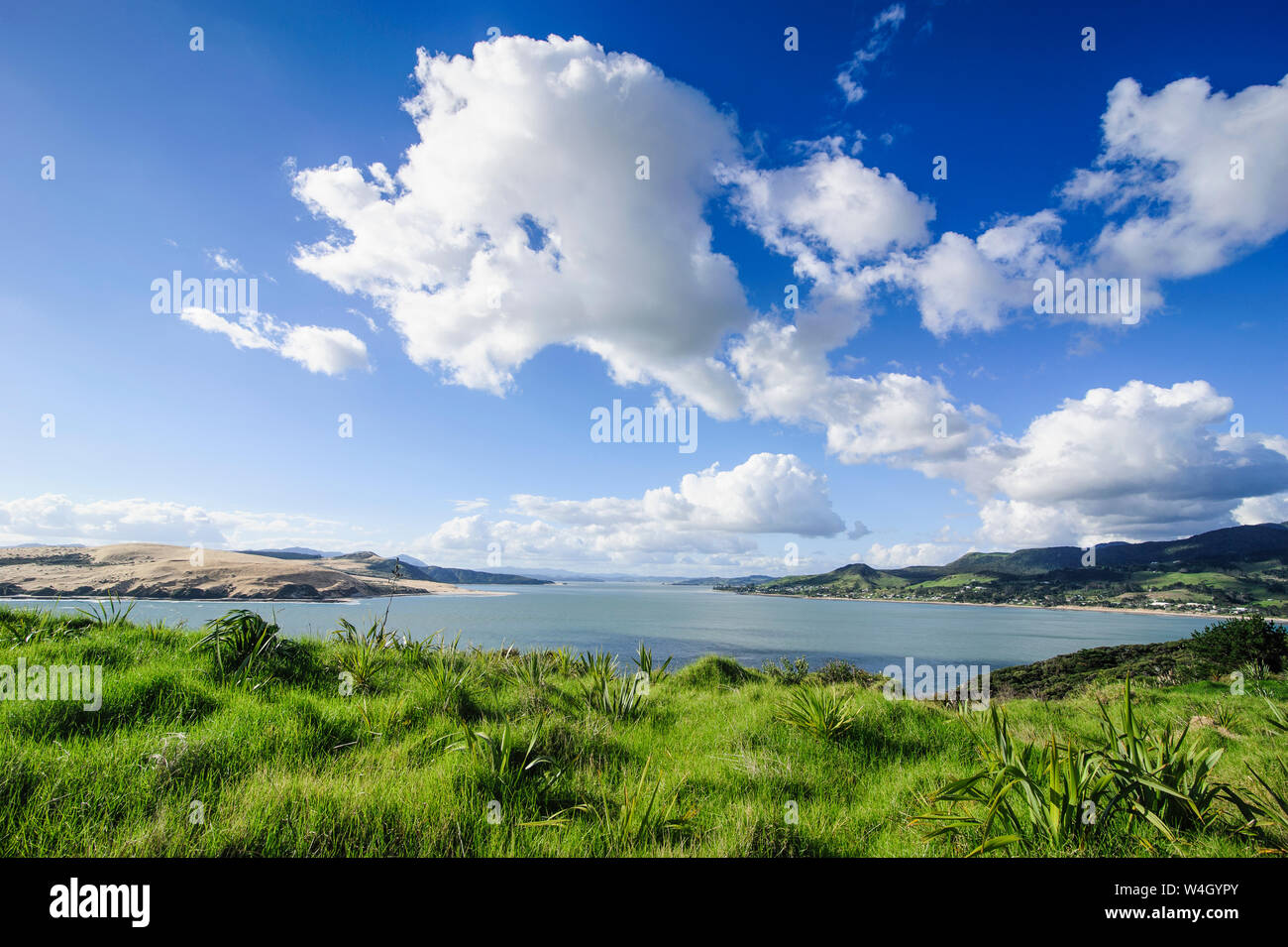 View of the Arai-Te-Uru Recreation Reserve south end of Hokianga harbour, Westcoast Northland, North Island, New Zealand Stock Photo