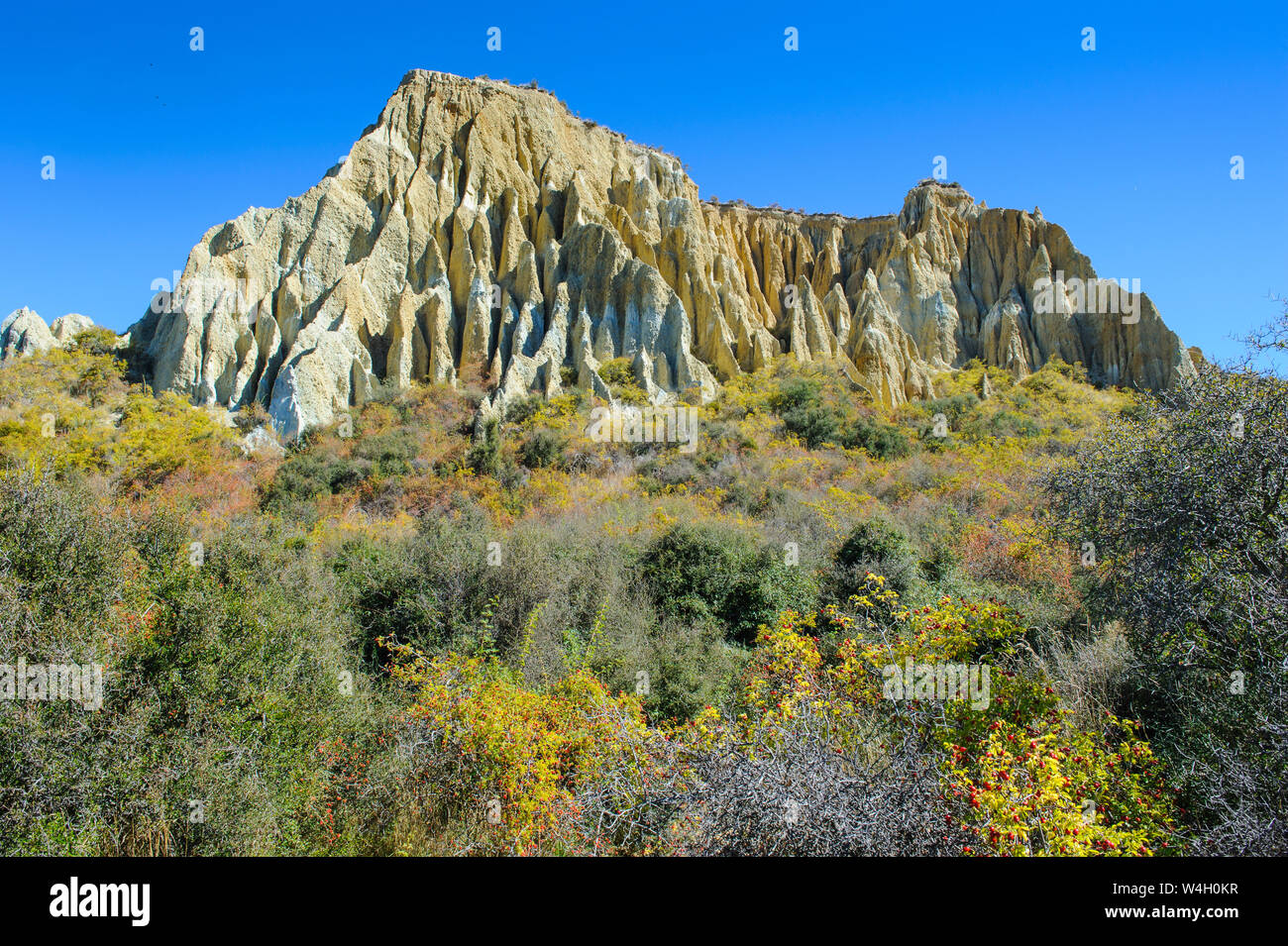 Huge sharp pinnacles of the Omarama Clay Cliffs, South island, New Zealand Stock Photo