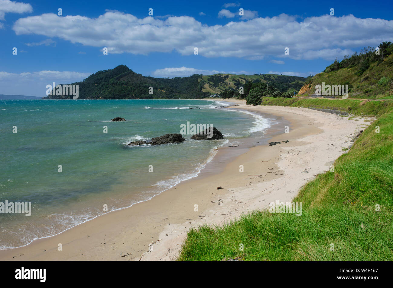 Lonely beach on the coastline of Northern Coromandel, North Island, New Zealand Stock Photo