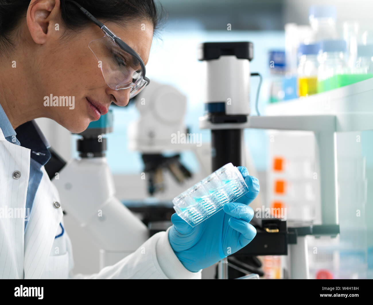 Biotech Research, Scientist viewing samples in multi well plate ready