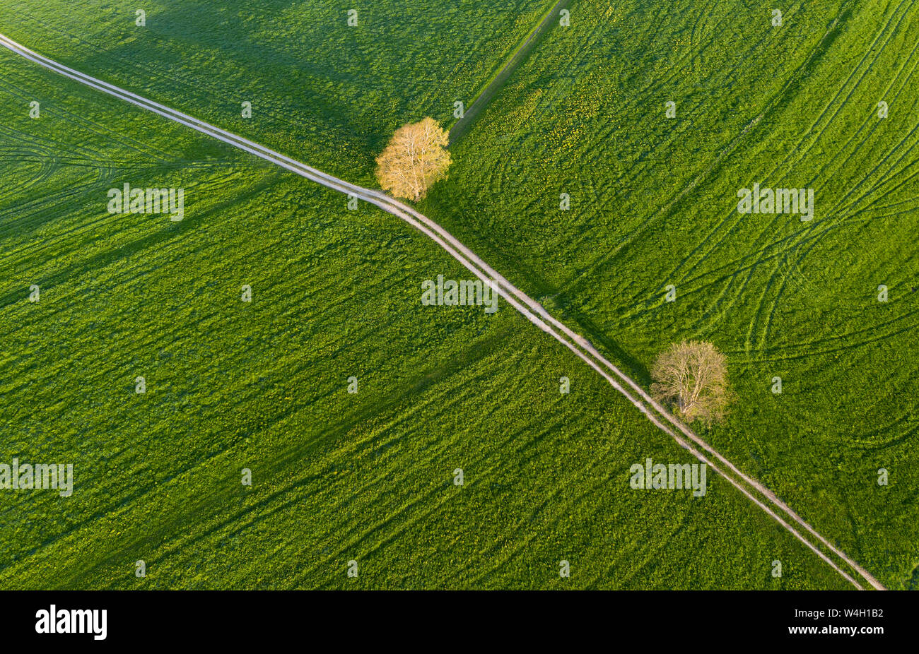 Aerial view over meadow with dirt track and trees, Holzhausen, Bavaria, Germany Stock Photo