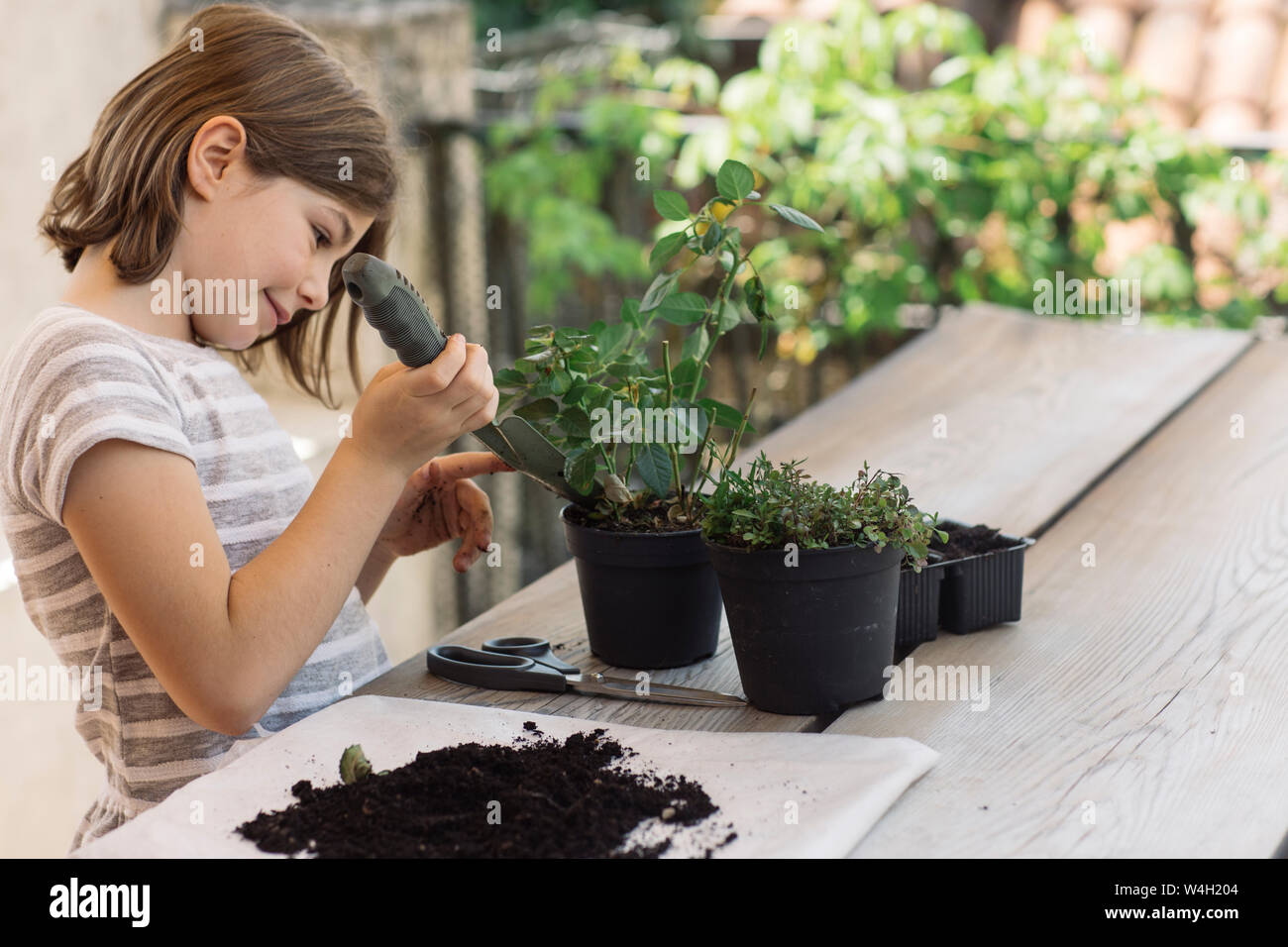 Repotting plant hi-res stock photography and images - Alamy