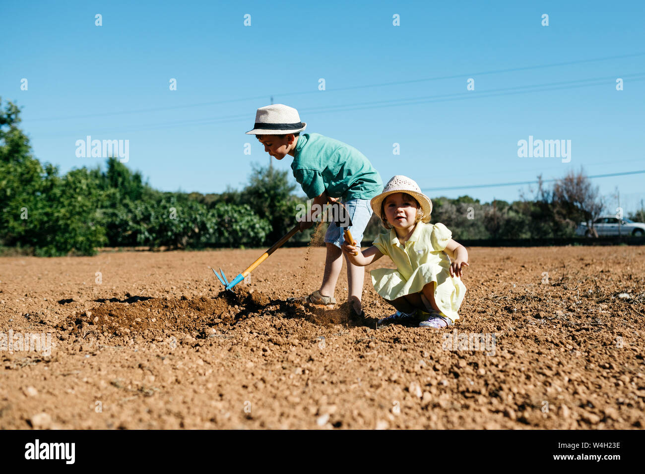 Boy and girl plowing the ground Stock Photo