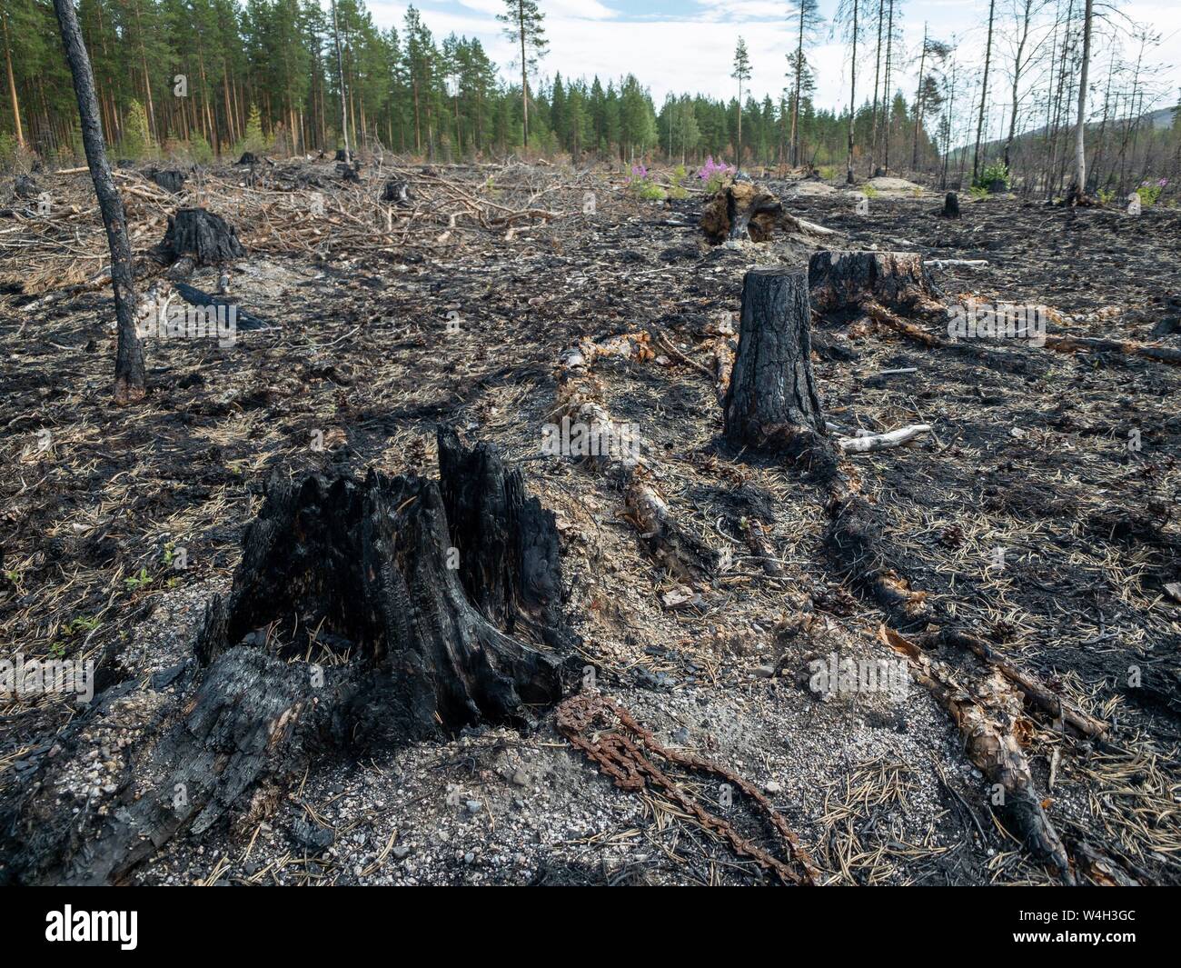 Burn to ashes hires stock photography and images Alamy