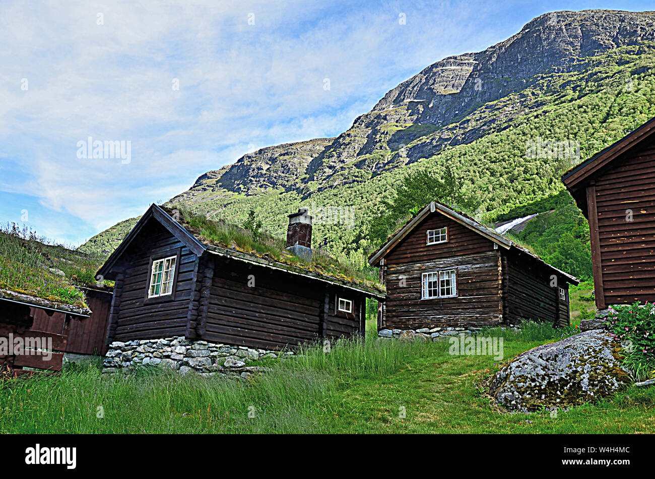 Grass on Roofs, Norway Stock Photo