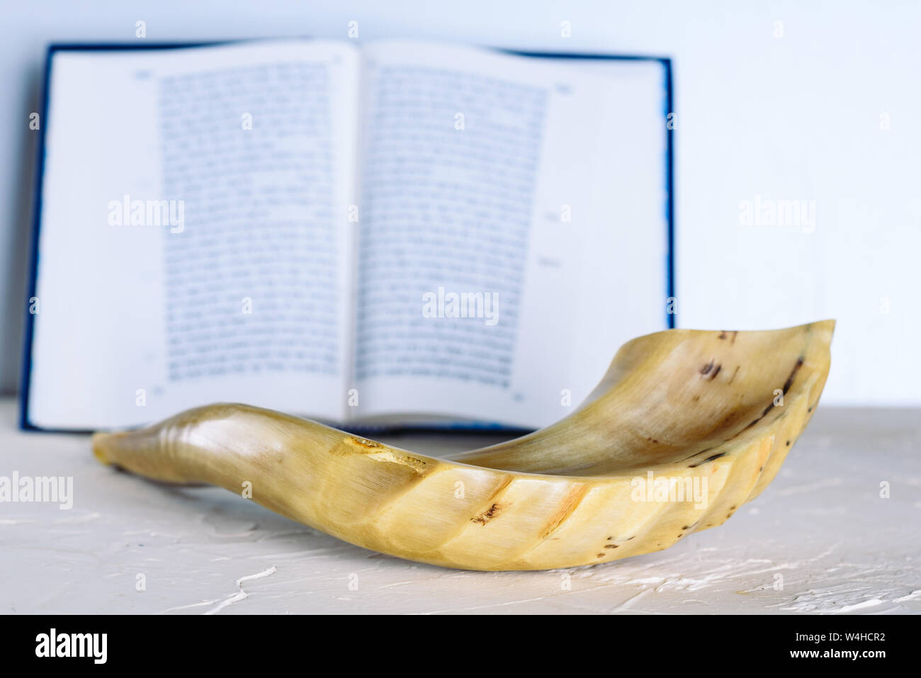 Shofar horn and Torah on white background. Shofar Religious and Jewish