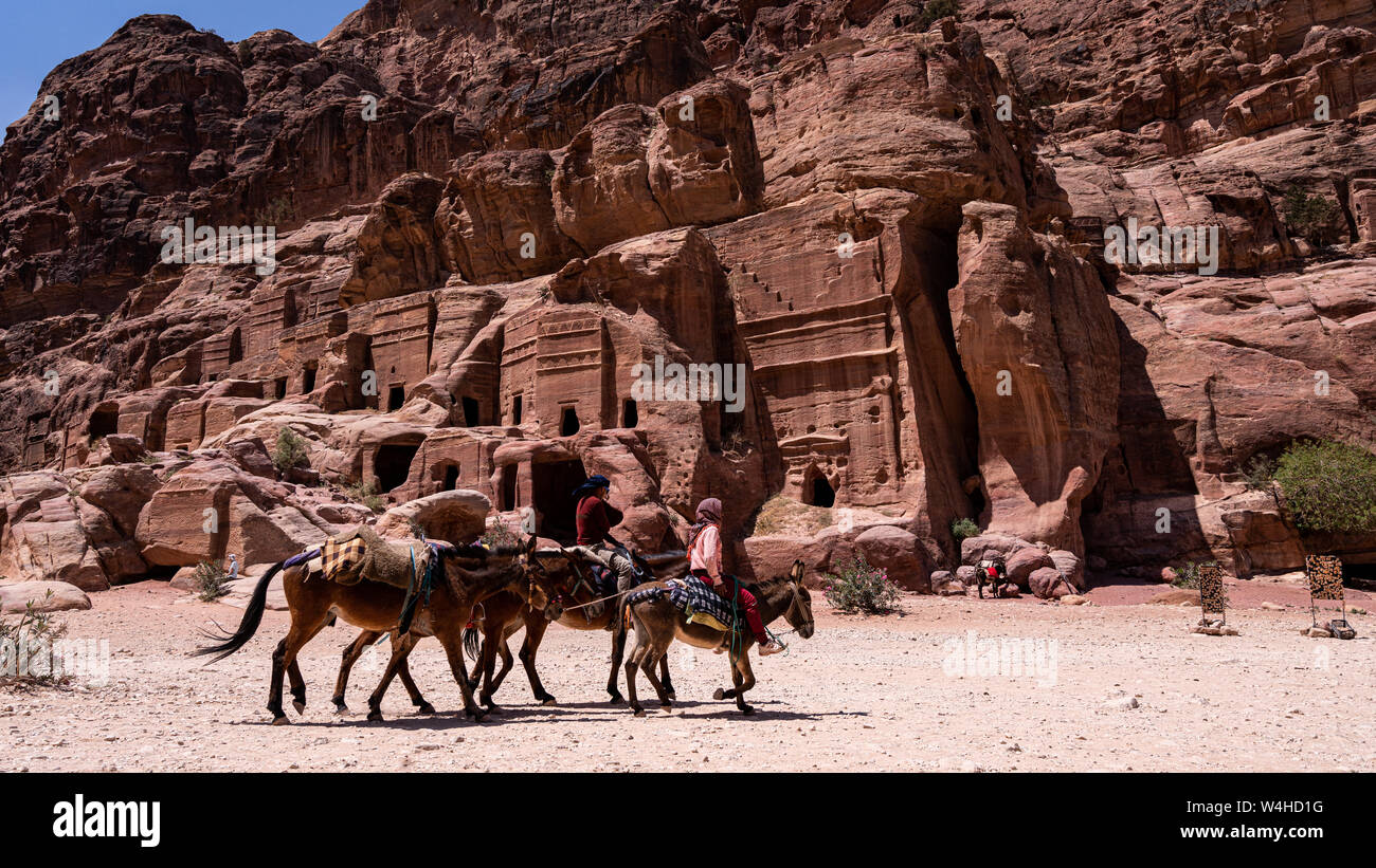 Camel Caravan in the heart of Petra Archaeological Site in Jordan Stock Photo