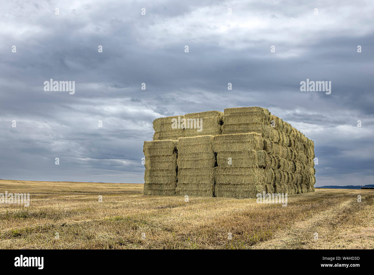 A large stack of hay bales in a harvested field in Rathdrum, Idaho. Stock Photo