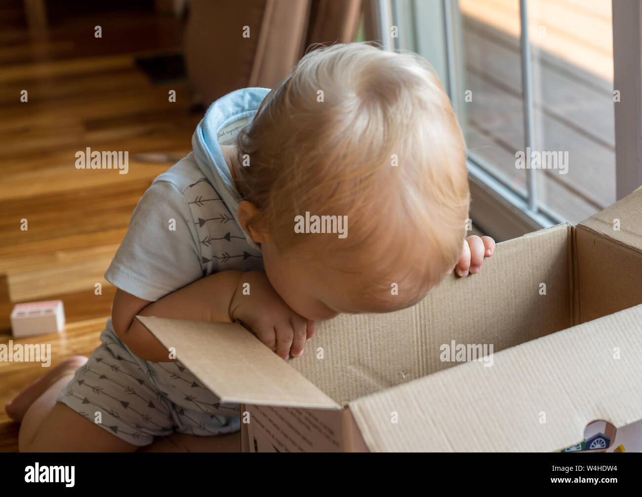 Young baby boy investigating a cardboard box and looking inside Stock Photo