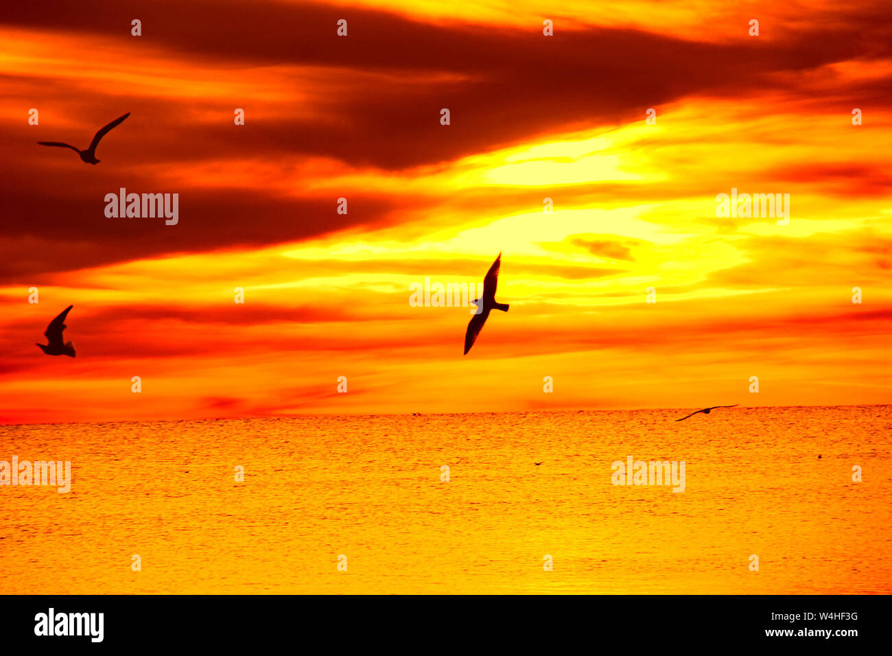 Sunset over the ocean Stock Photo - Alamy