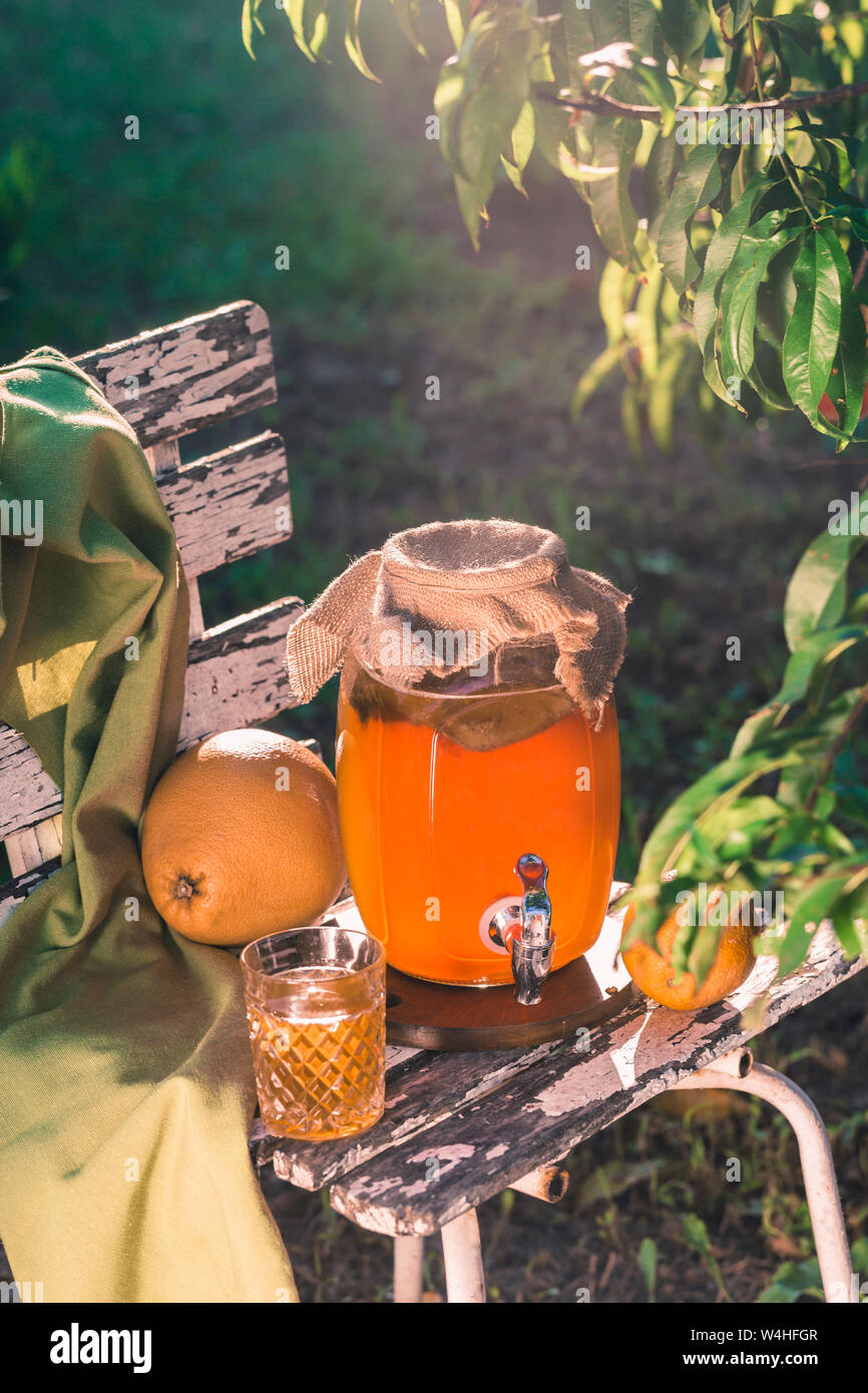Kombucha Tea Drink With Beneficial Bacteria On Wooden Chair