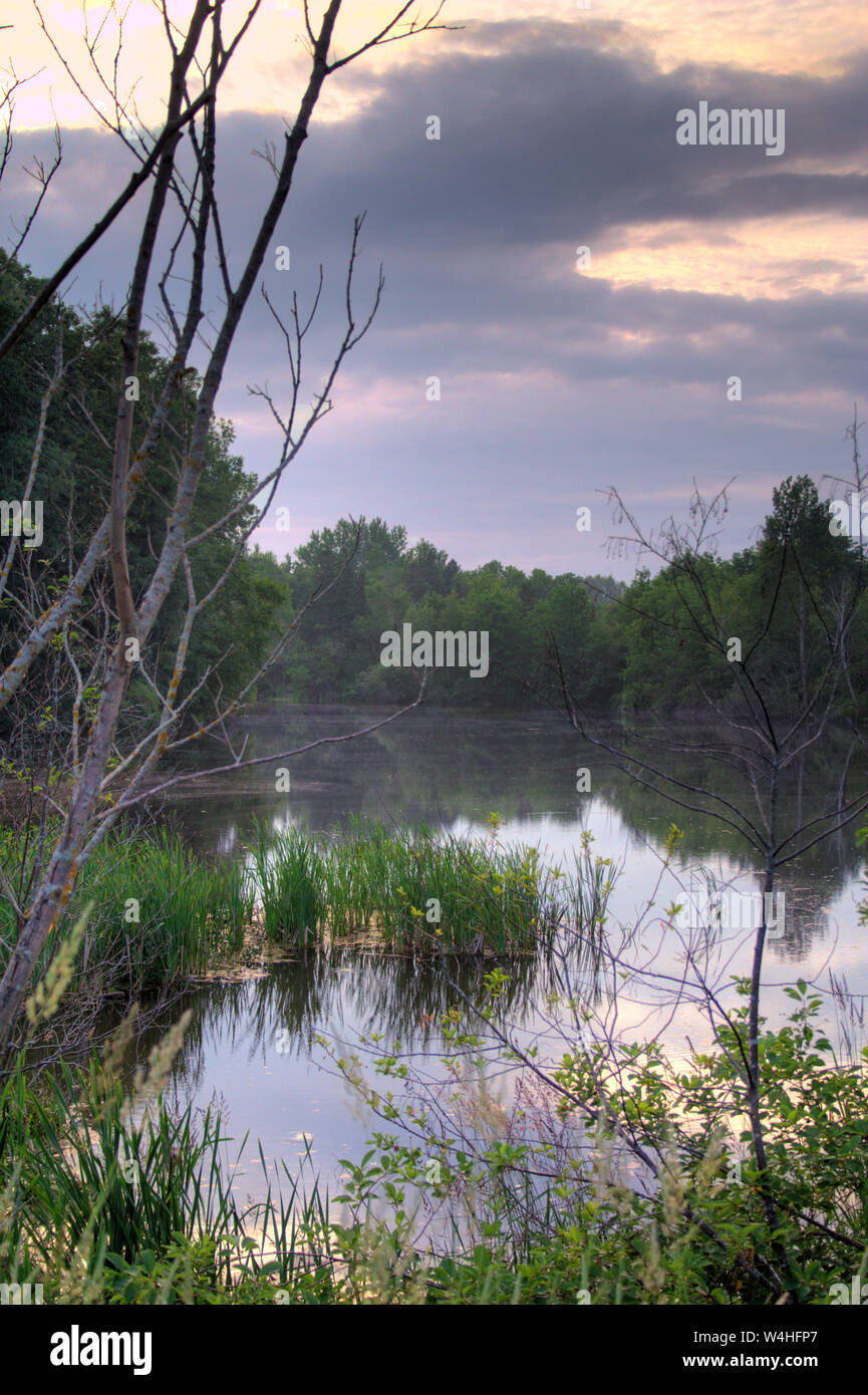 The lake or pond at what is locally known as Chipman's Corner in