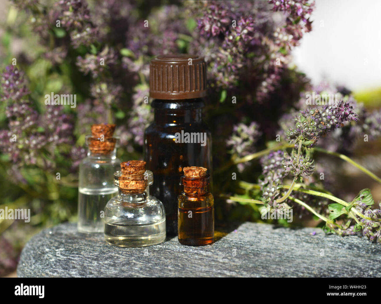 Thyme grass. Bottles of thyme essential oil with fresh thyme twigs and other bottles in the background. Selective focus. Stock Photo