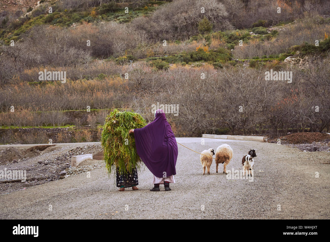 Two traditionally dressed moroccan women on the road in High Atlas mountains Stock Photo