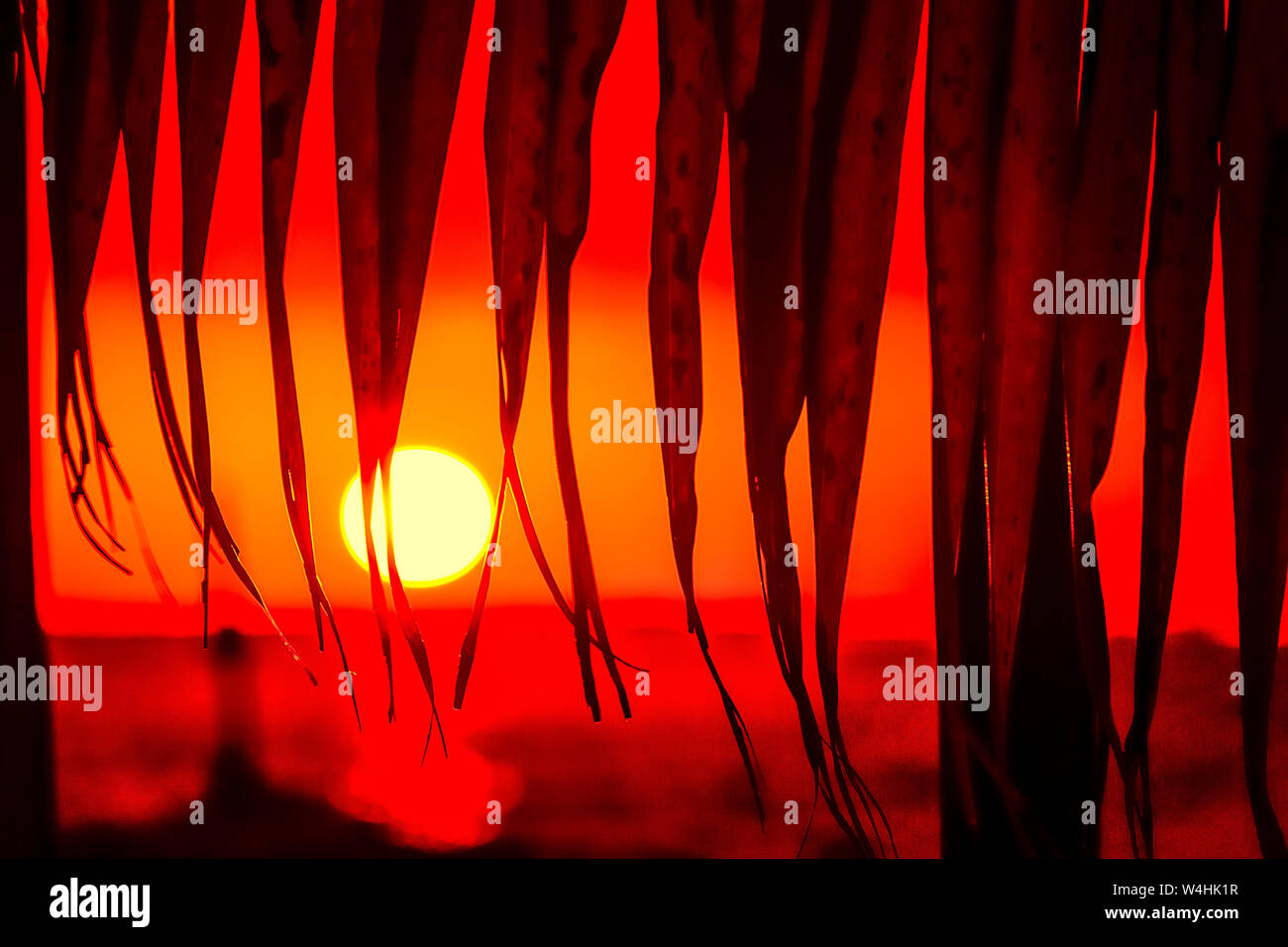 Beautiful Ocean Sunset scenic Landscape Stock Photo - Alamy