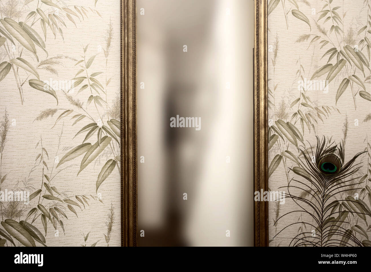 Long vintage mirror on wall with wallpaper and peacock feather antique retro design Stock Photo