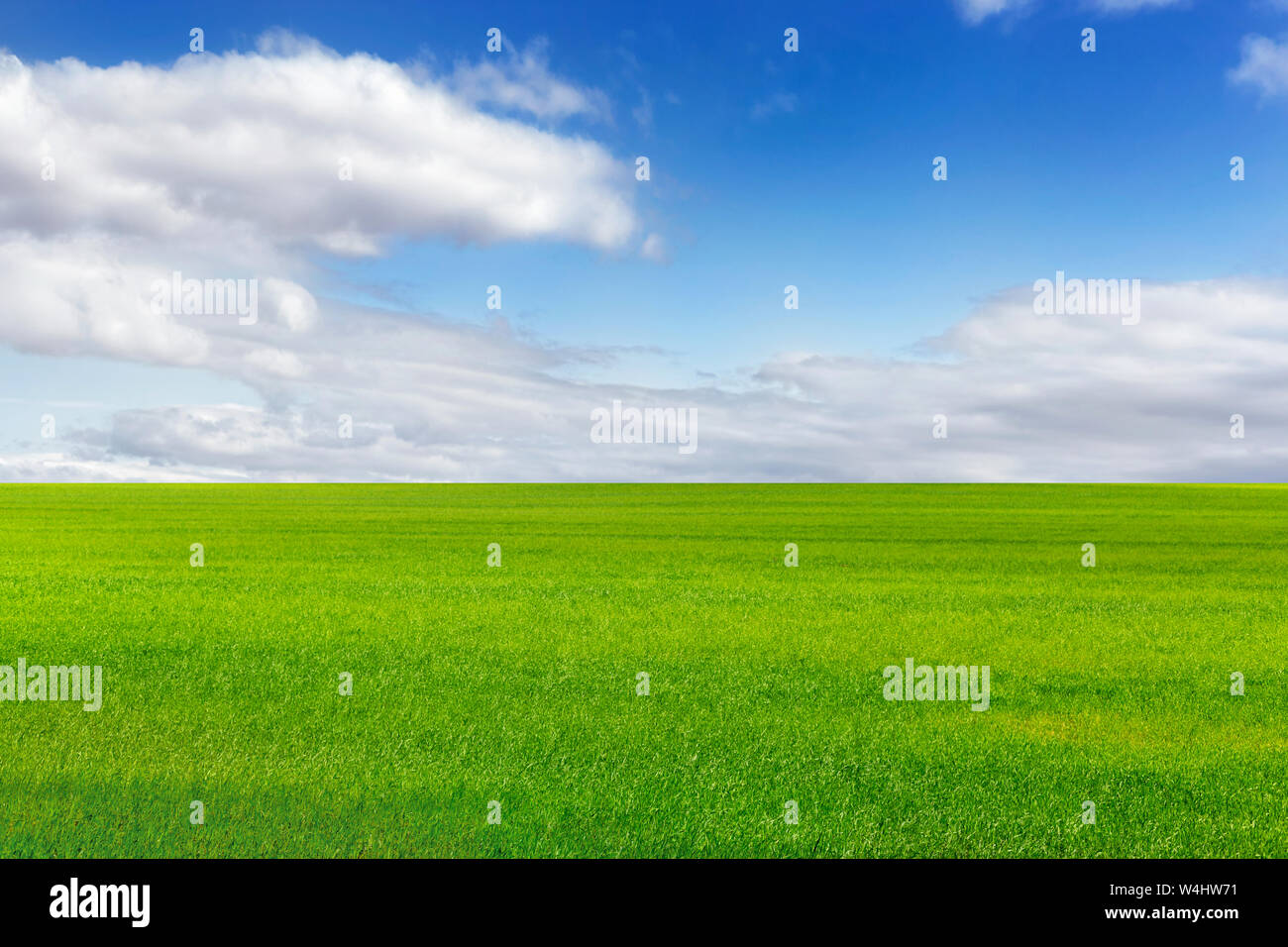 Beautiful green field and bright blue sky with light clouds Stock Photo ...