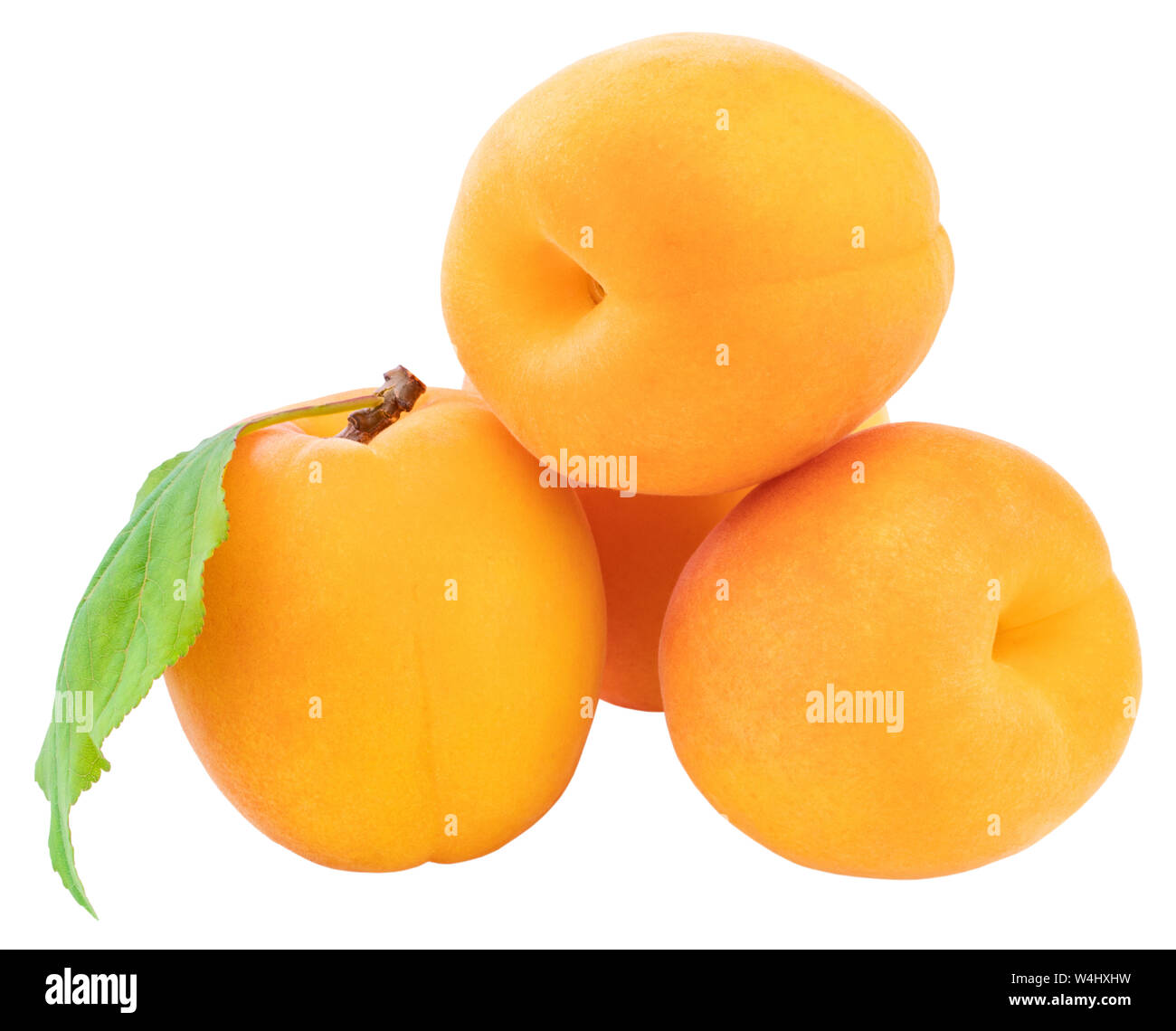 Apricot isolated on white background. Clipping Path Stock Photo - Alamy
