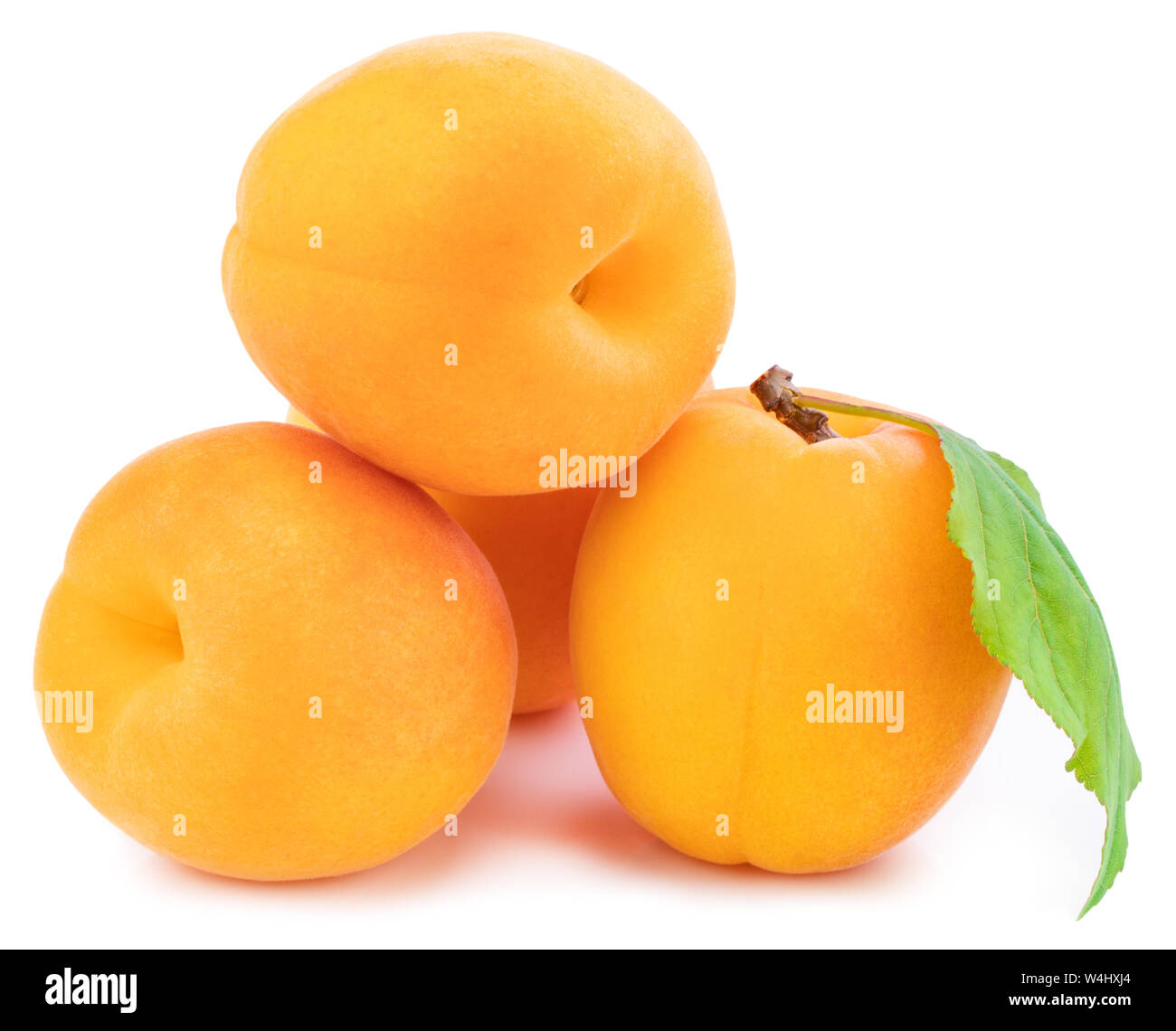 Apricot isolated on white background. Clipping Path Stock Photo - Alamy