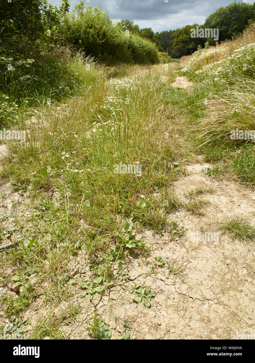 Right of way walkway around farmland in the Kent countryside, England