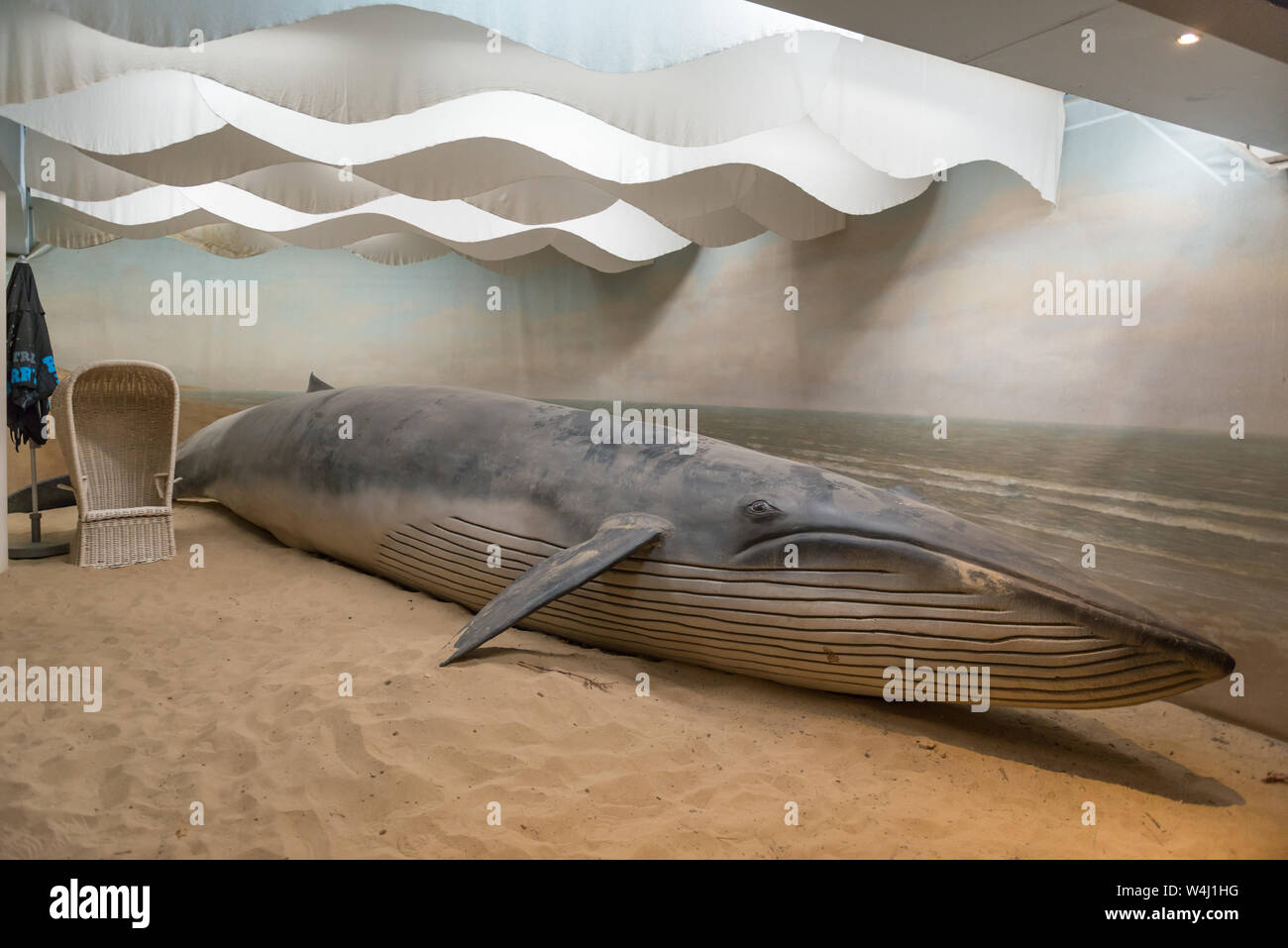 Artwork of a stranded whale in the Royal Burgers' Zoo in Arnhem, The Netherlands Stock Photo
