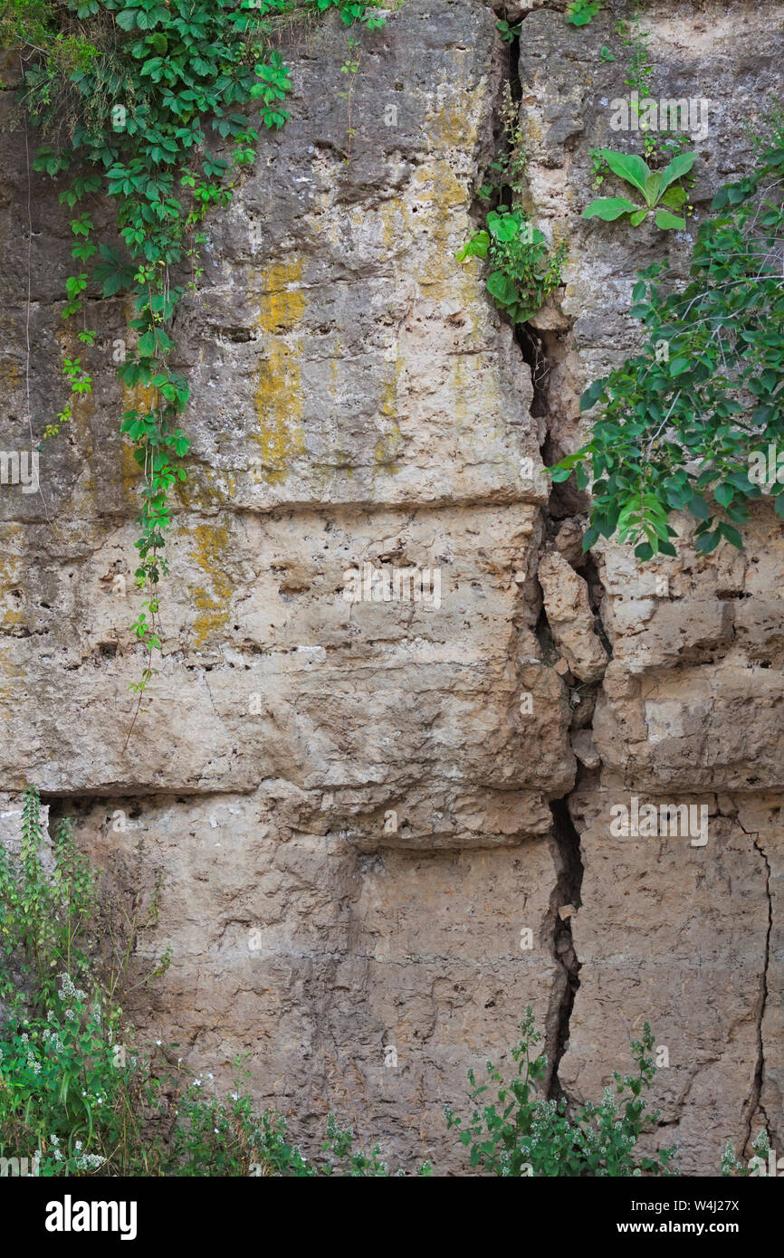 A giant crack runs down the length of a limestone canyon wall.  Various types of green vegetation and yellow moss grow from the fissures in the limest Stock Photo
