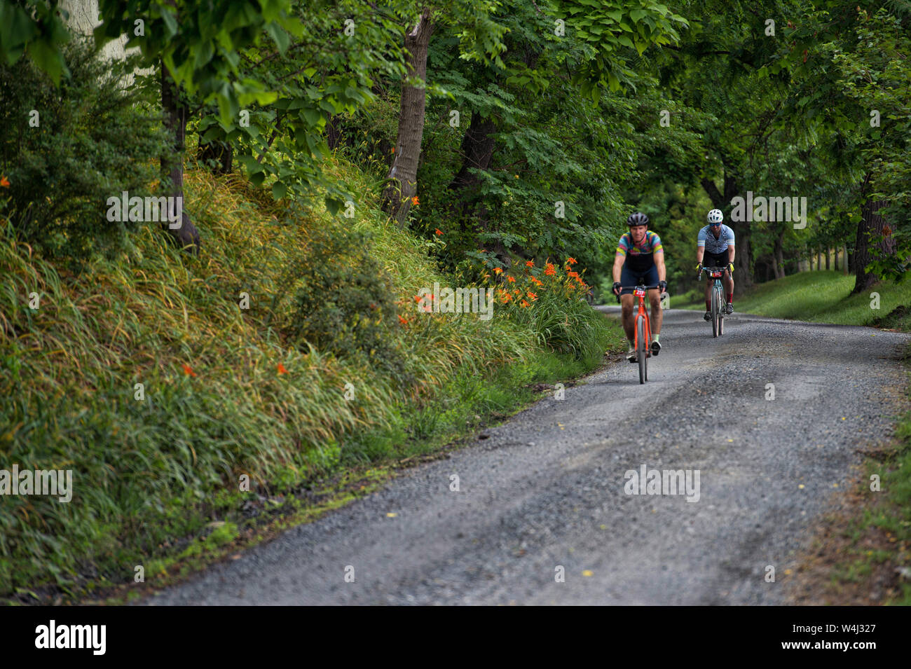 UNITED STATES - June 9, 2019: The Loudoun 1725 Gravel Grinder is a scenic bike ride along historic gravel roads in Northern Virginia.  Located east of Stock Photo