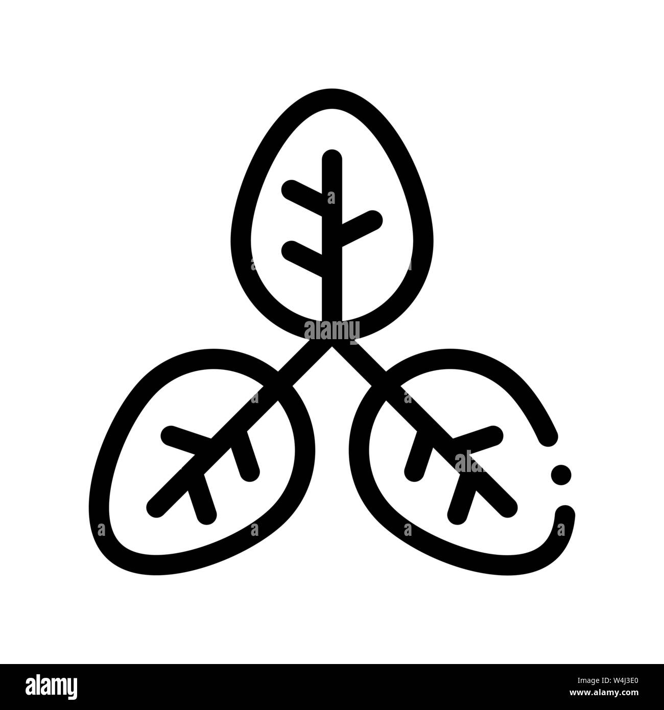 Bush Offshoot Plant Leaves Vector Thin Line Icon Stock Vector