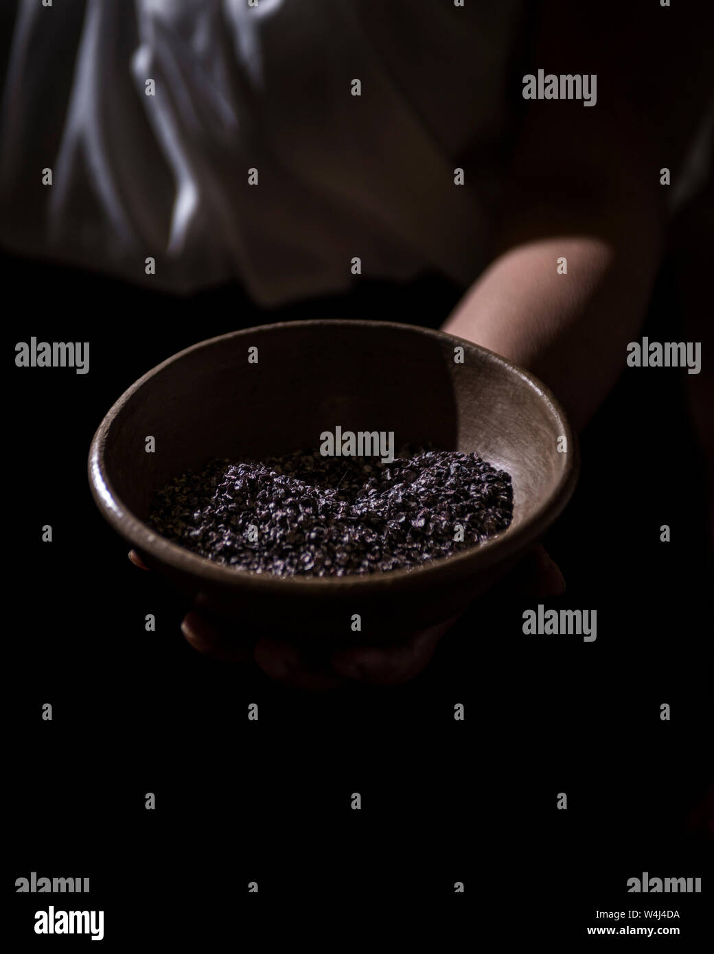 Cochineal instect, used to make carmine dye for fabrics Stock Photo