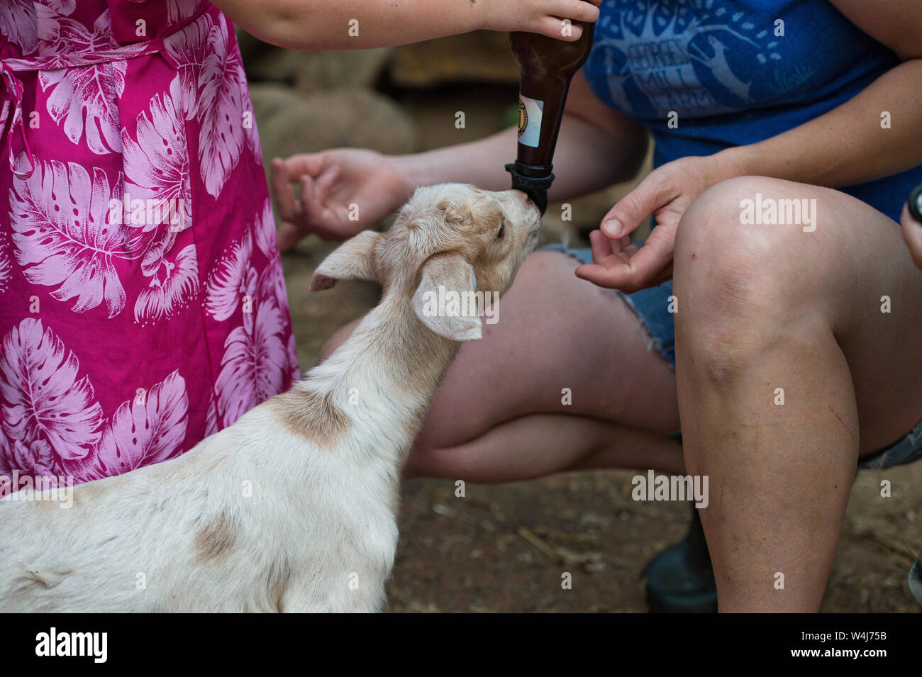 UNITED STATES June 7, 2019 Mabel, and Molly Kroiz feed baby goats at